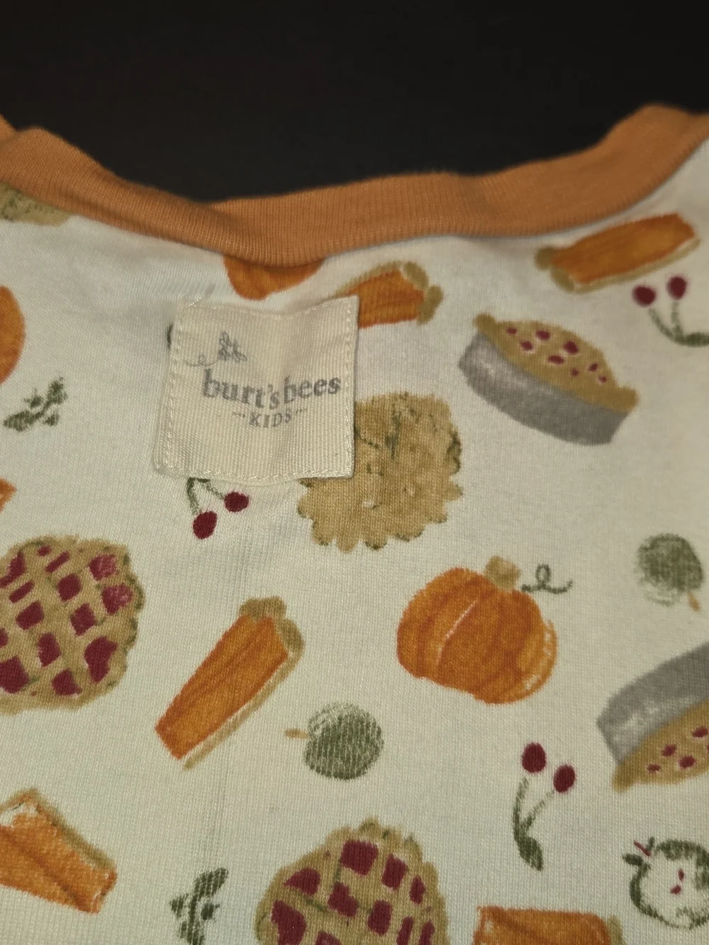Burt's Bees Cream and Orange Pumpkin Pie Kids Pajama Set